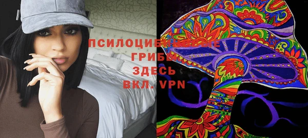 скорость Лиски