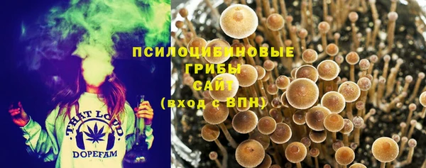 бошки Лихославль