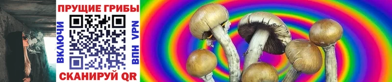 blacksprut ссылка  Северск  Псилоцибиновые грибы ЛСД 